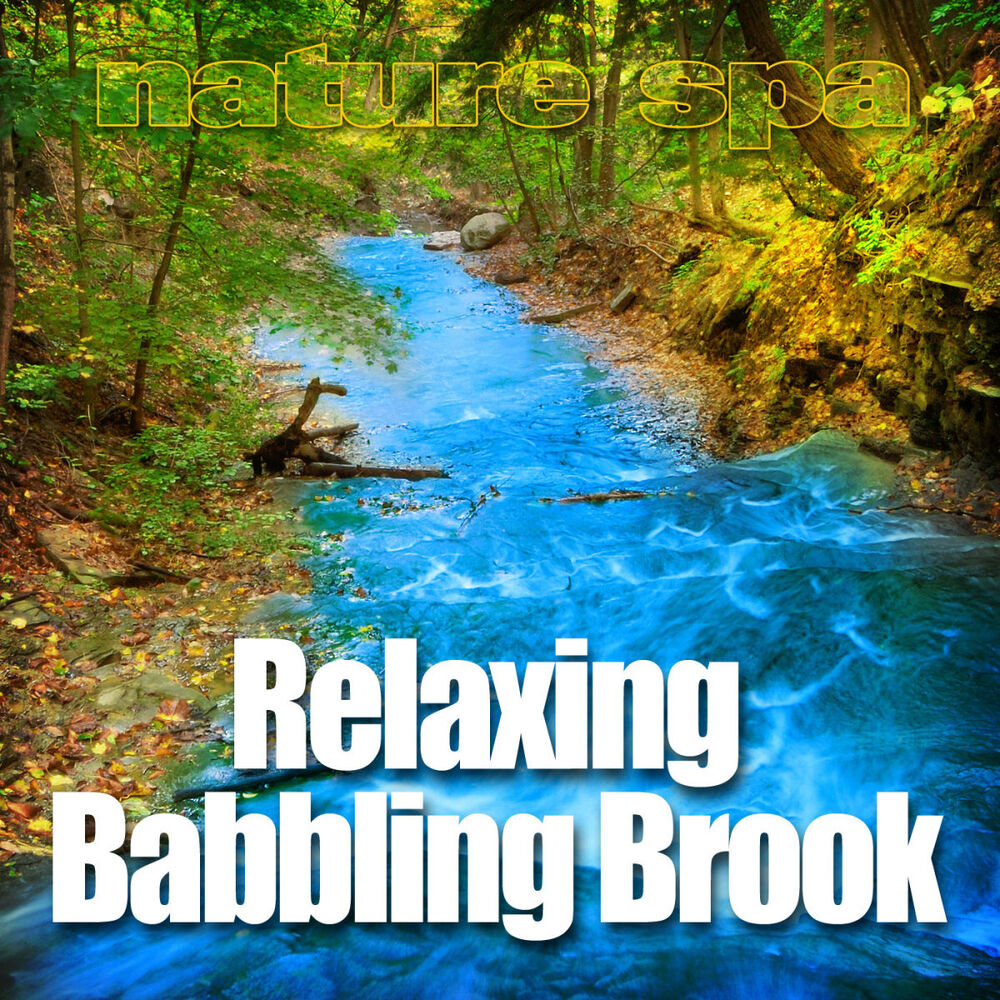 Picture of Relaxing Babbling Brook