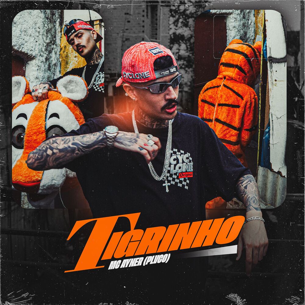 Picture of Tigrinho