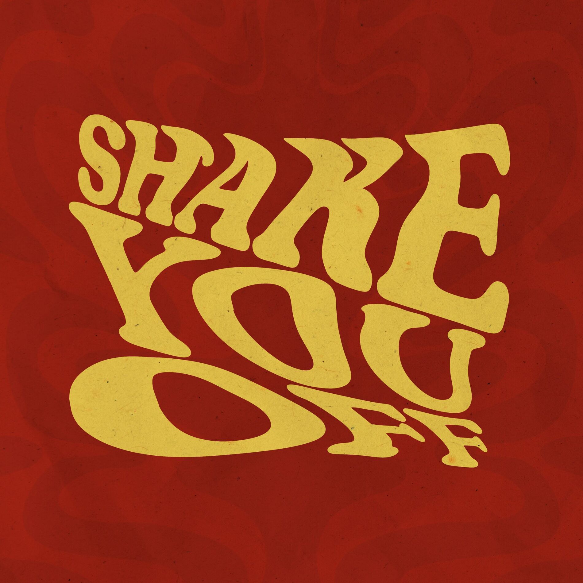 Album cover of Shake You Off