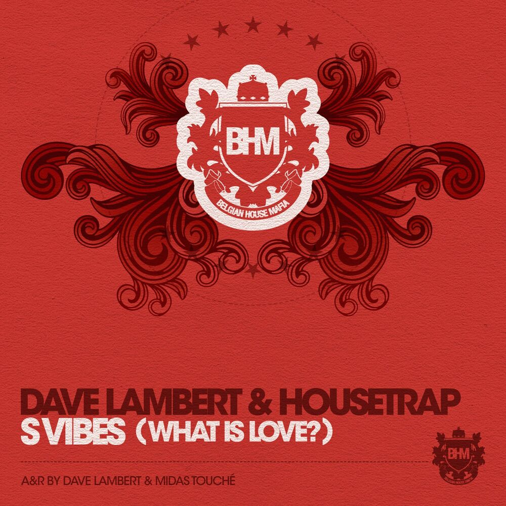 Picture of S-Vibes (What Is Love?)