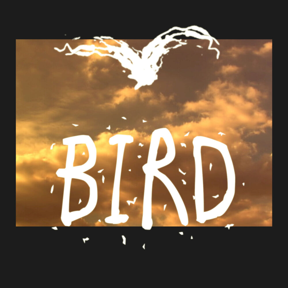 Picture of BIRD