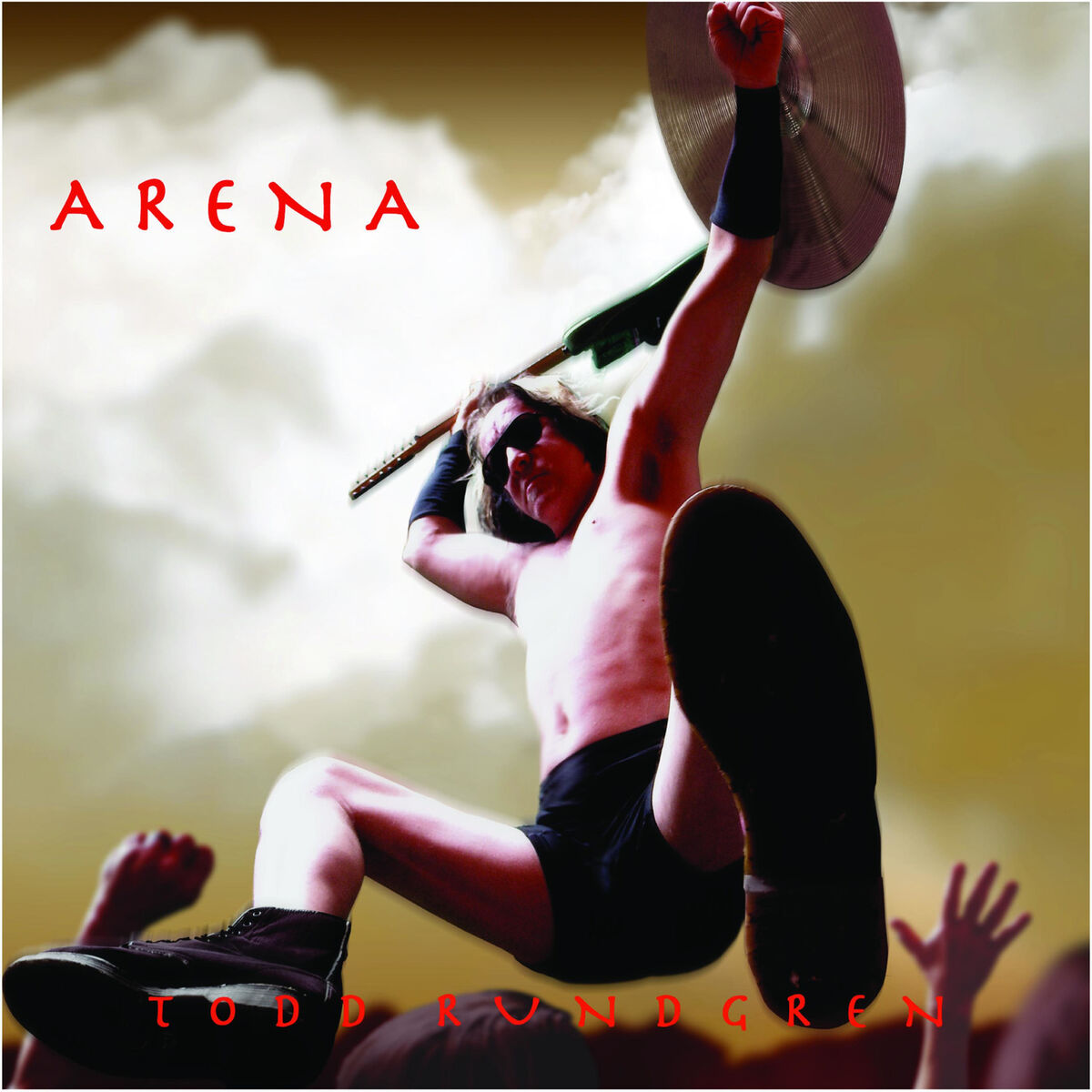 Album cover of Arena