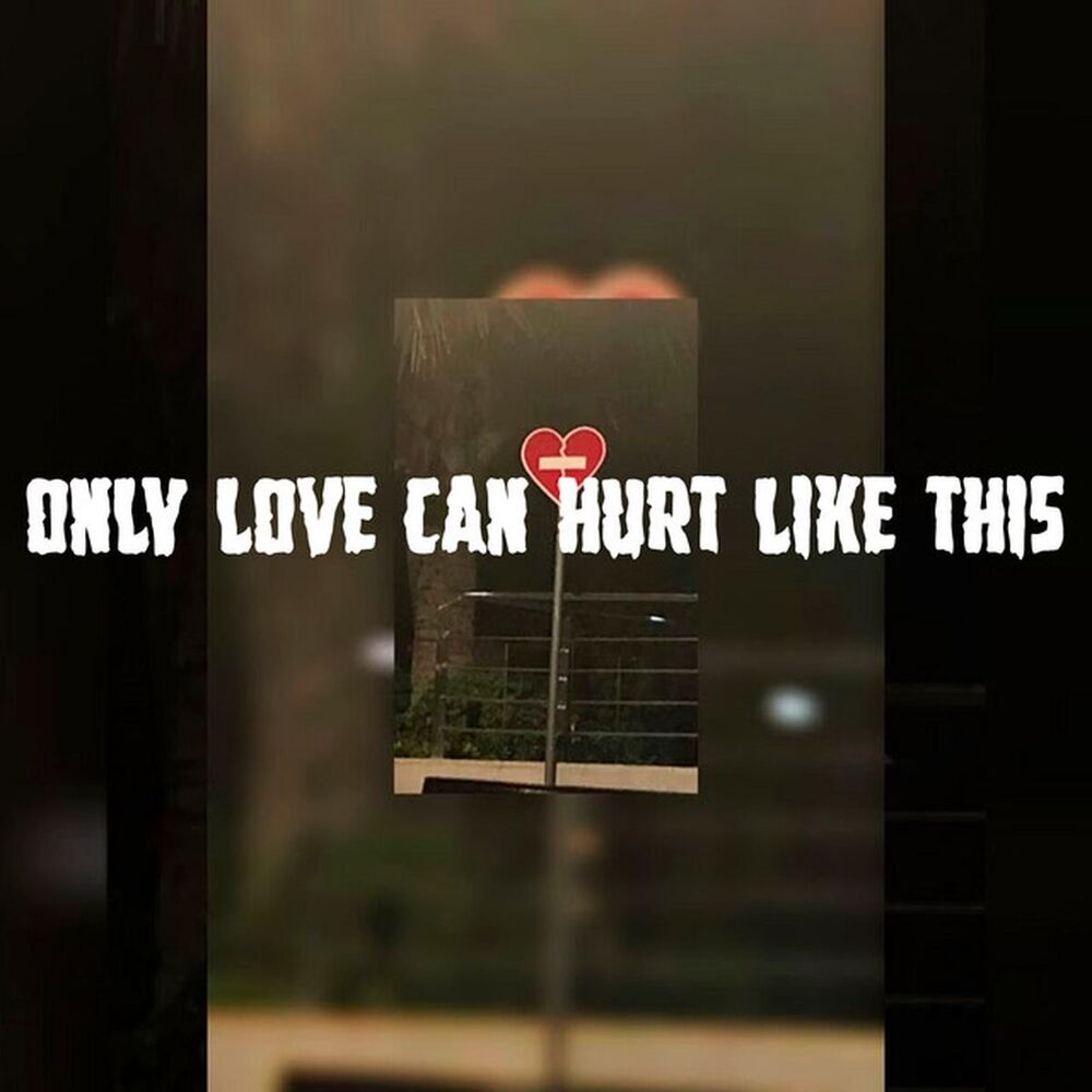 Picture of Only love can hurt like this - Remix