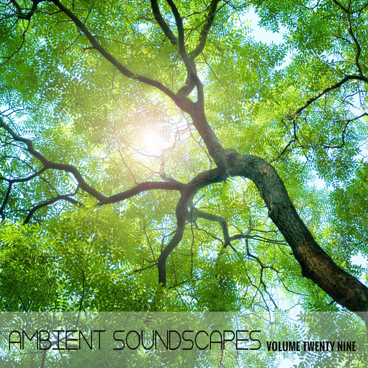 Album cover of Ambient Soundscapes, Vol. 29