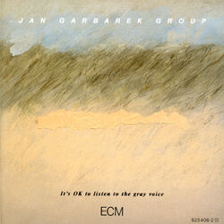Cover of It's OK To Listen To The Gray Voice