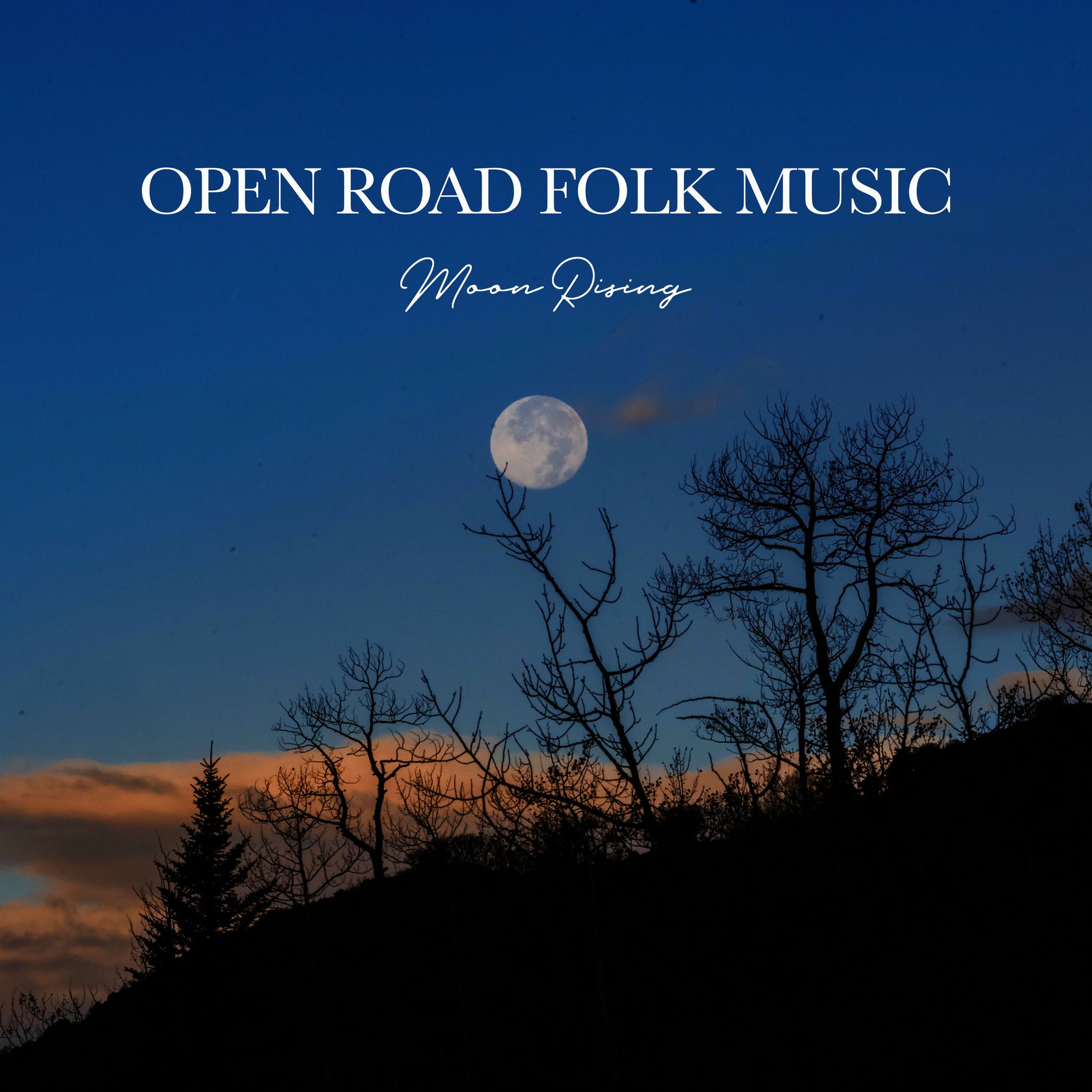 Album cover of Moon Rising