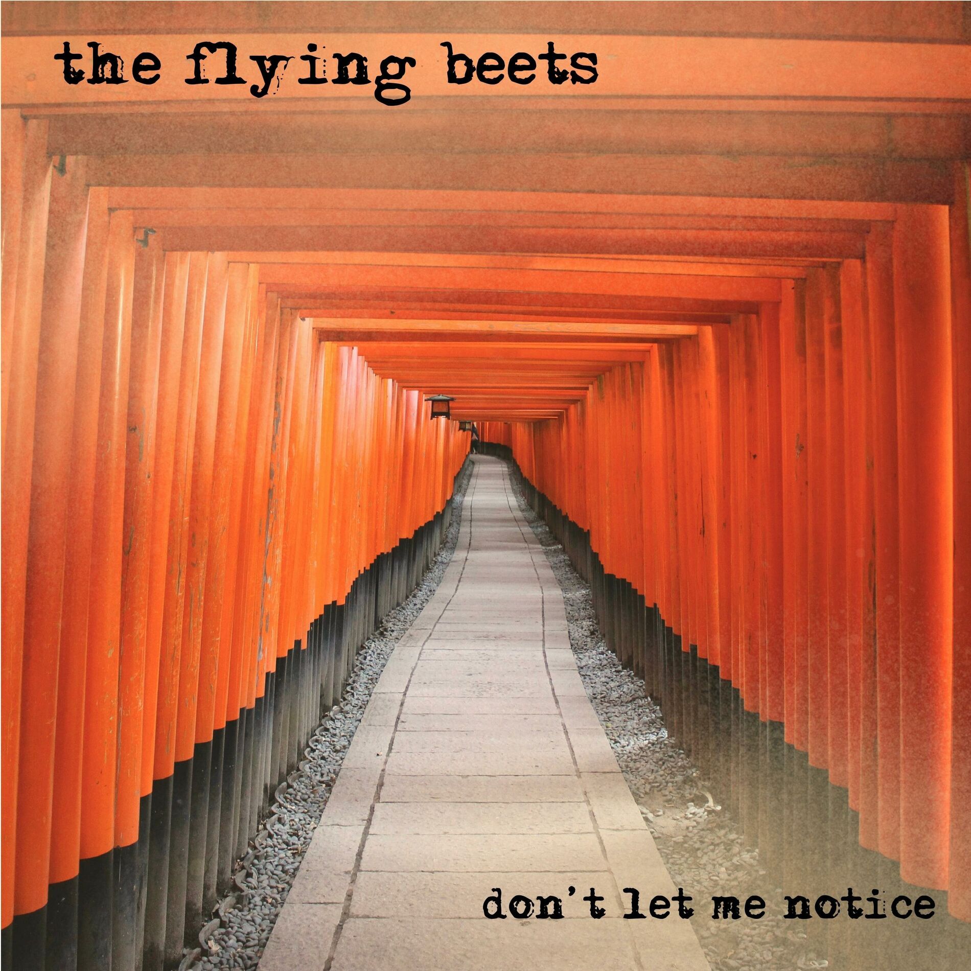 Album cover of Don't Let Me Notice