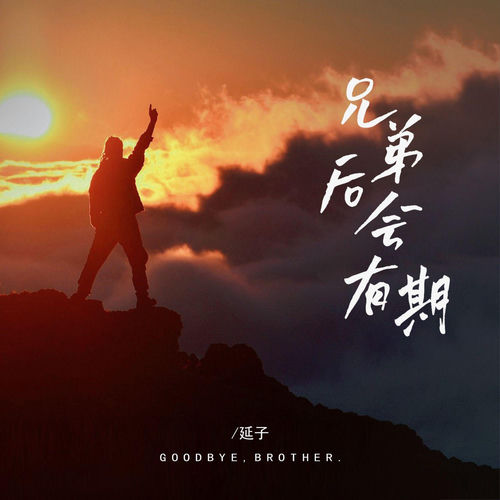 兄弟后会有期