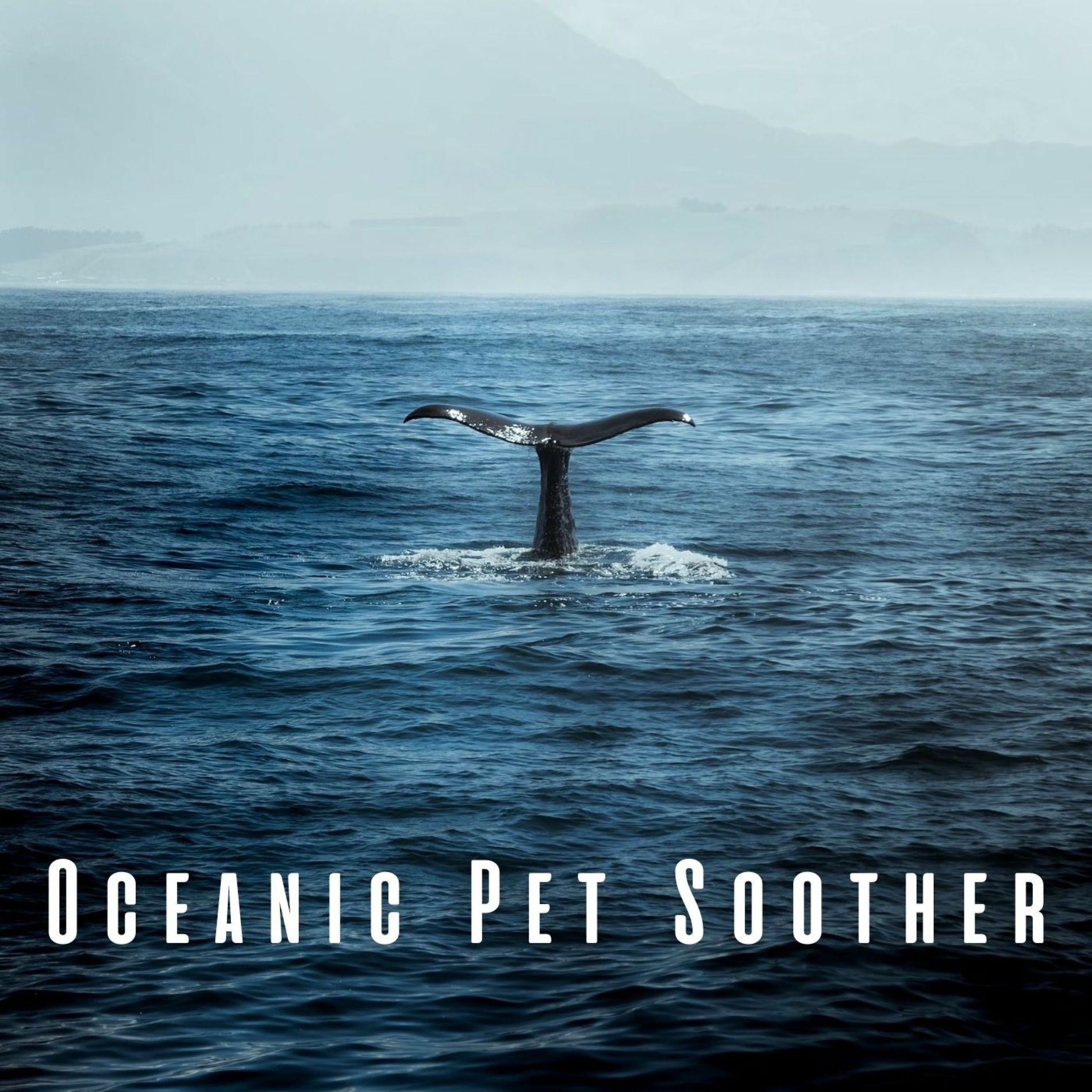 Album cover of Oceanic Pet Soother: Gentle Insects and Chill Music for Serenity