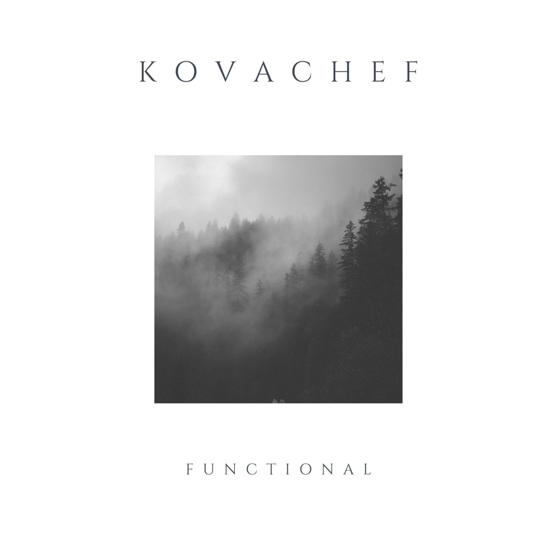 Album cover of Functional