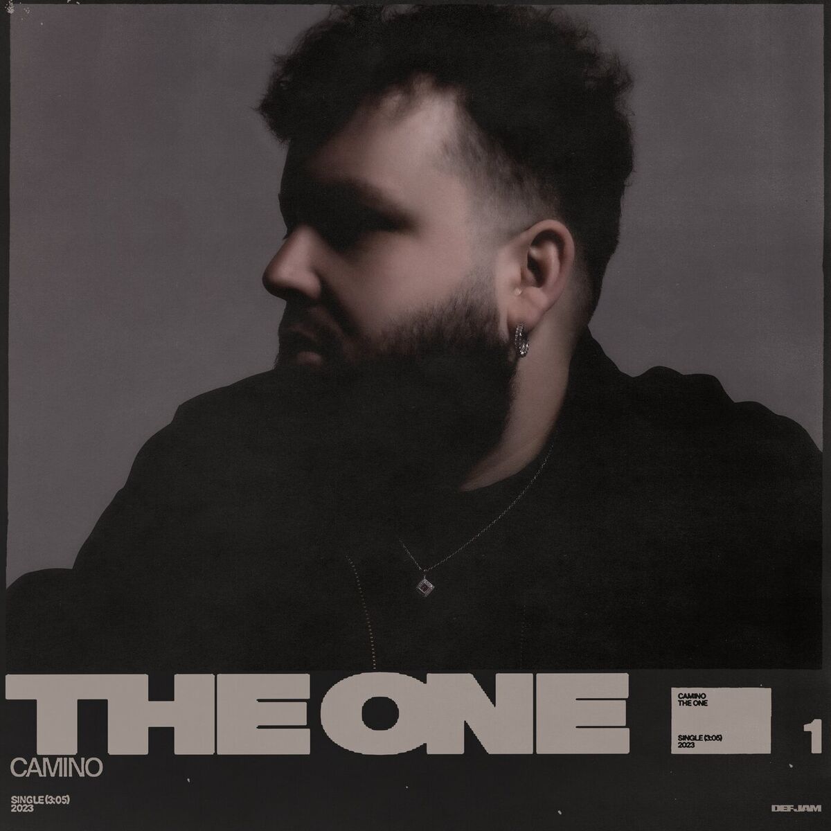 Album cover of The One