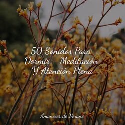 Cover of 50 Sonidos Para Dormir - Meditación Y Atención Plena