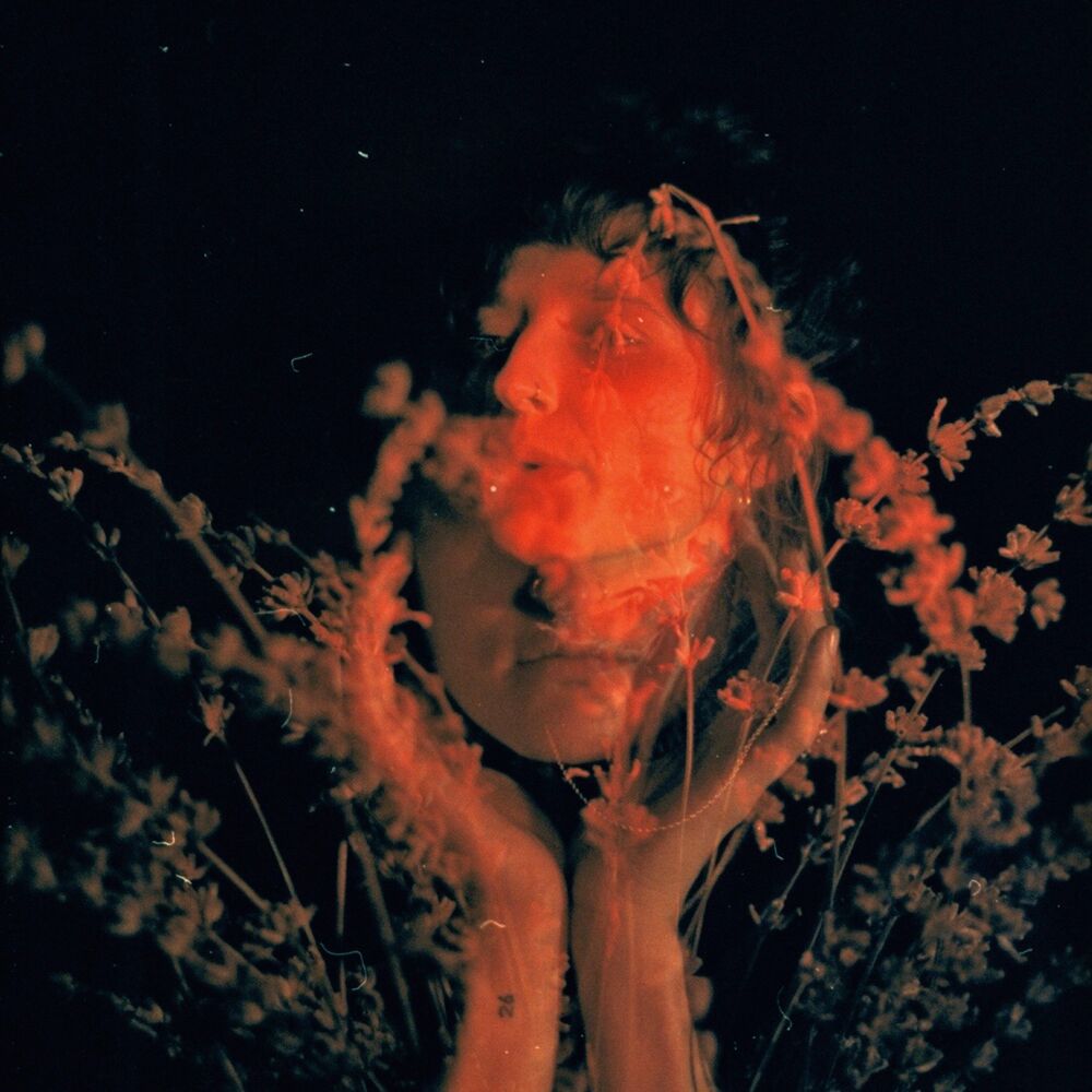 Picture of Salvador Dali
