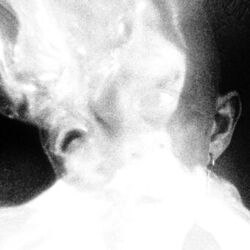Cover of I Can't Be Left Alone With It