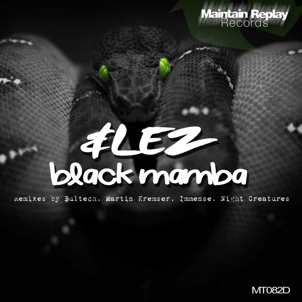 Picture of Black Mamba