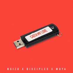 Cover of Catch My Love