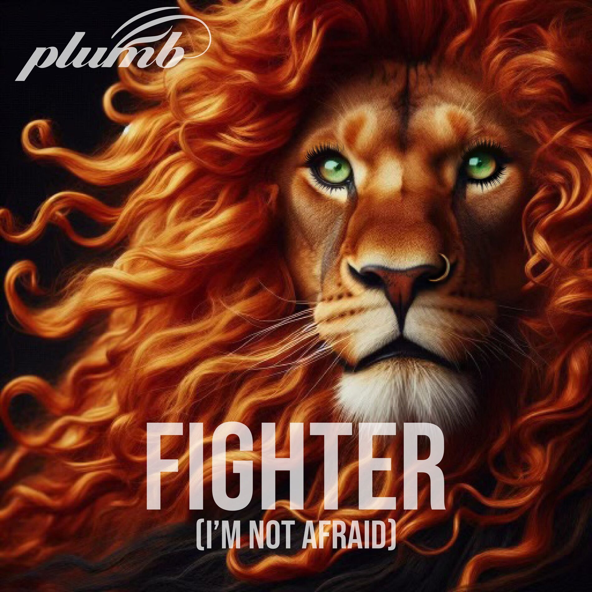 Album cover of Fighter (I'm Not Afraid)