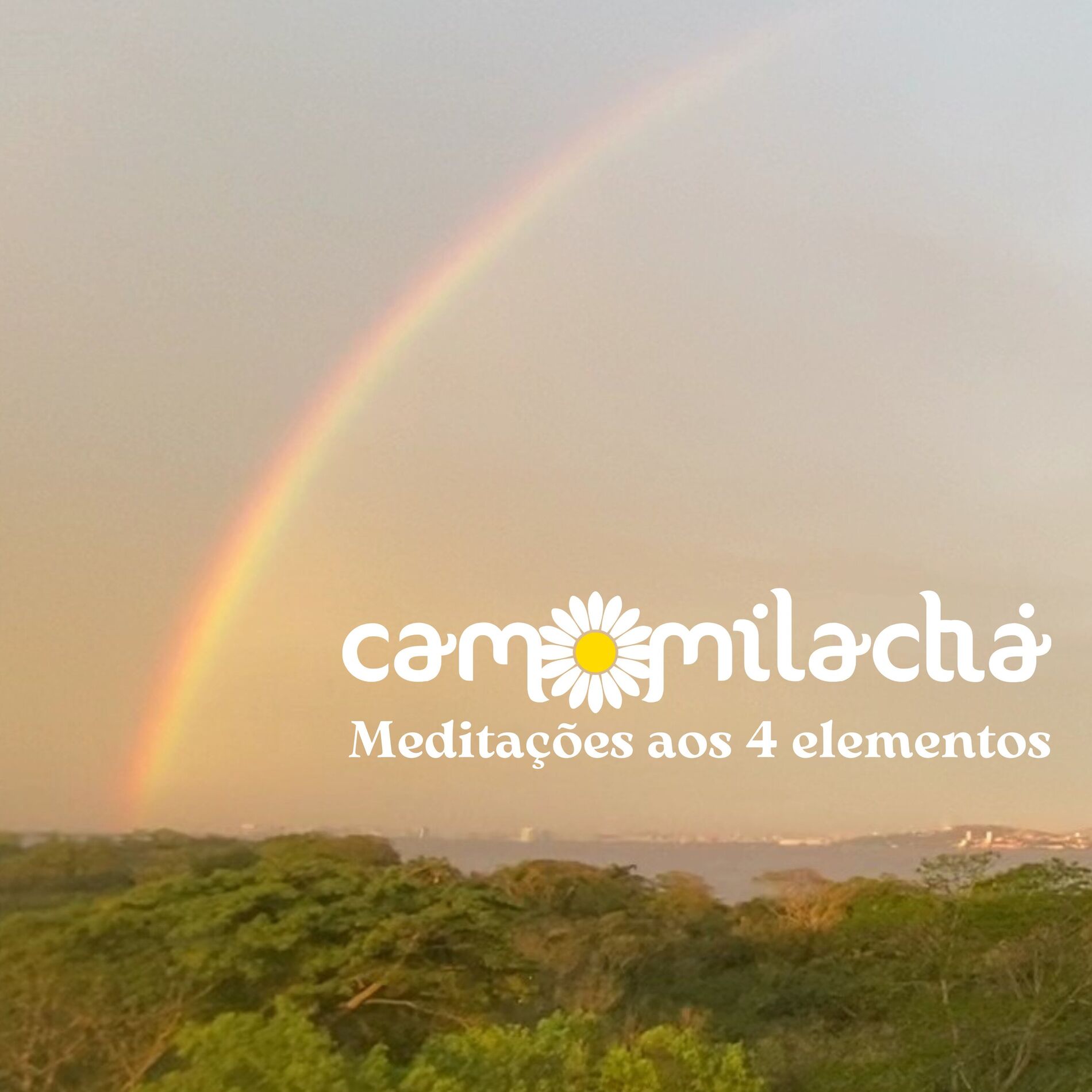 Album cover of Meditações aos 4 Elementos