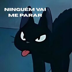 ninguém vai me parar