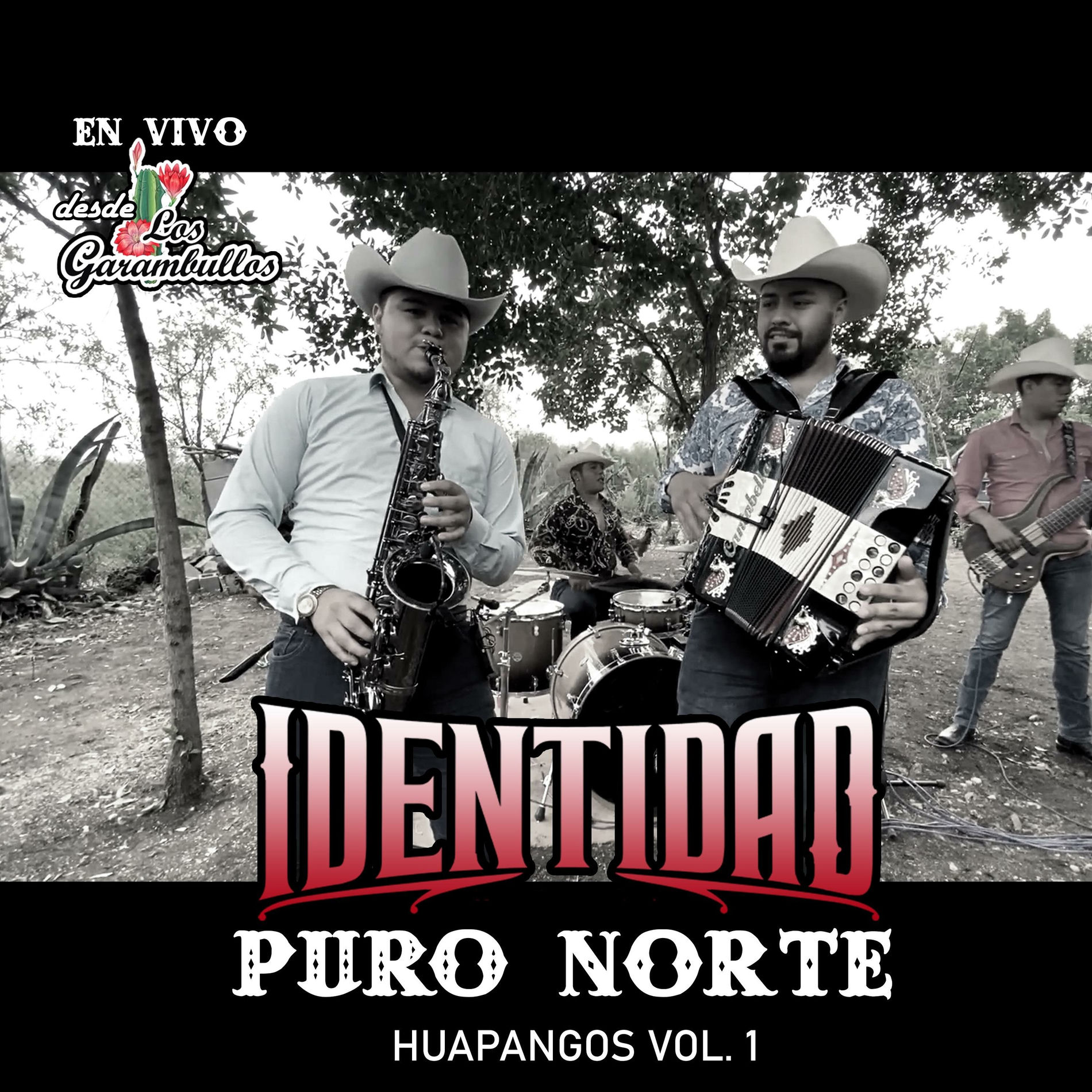 Album cover of Puro Norte Huapangos, Vol. 1 (En vivo)