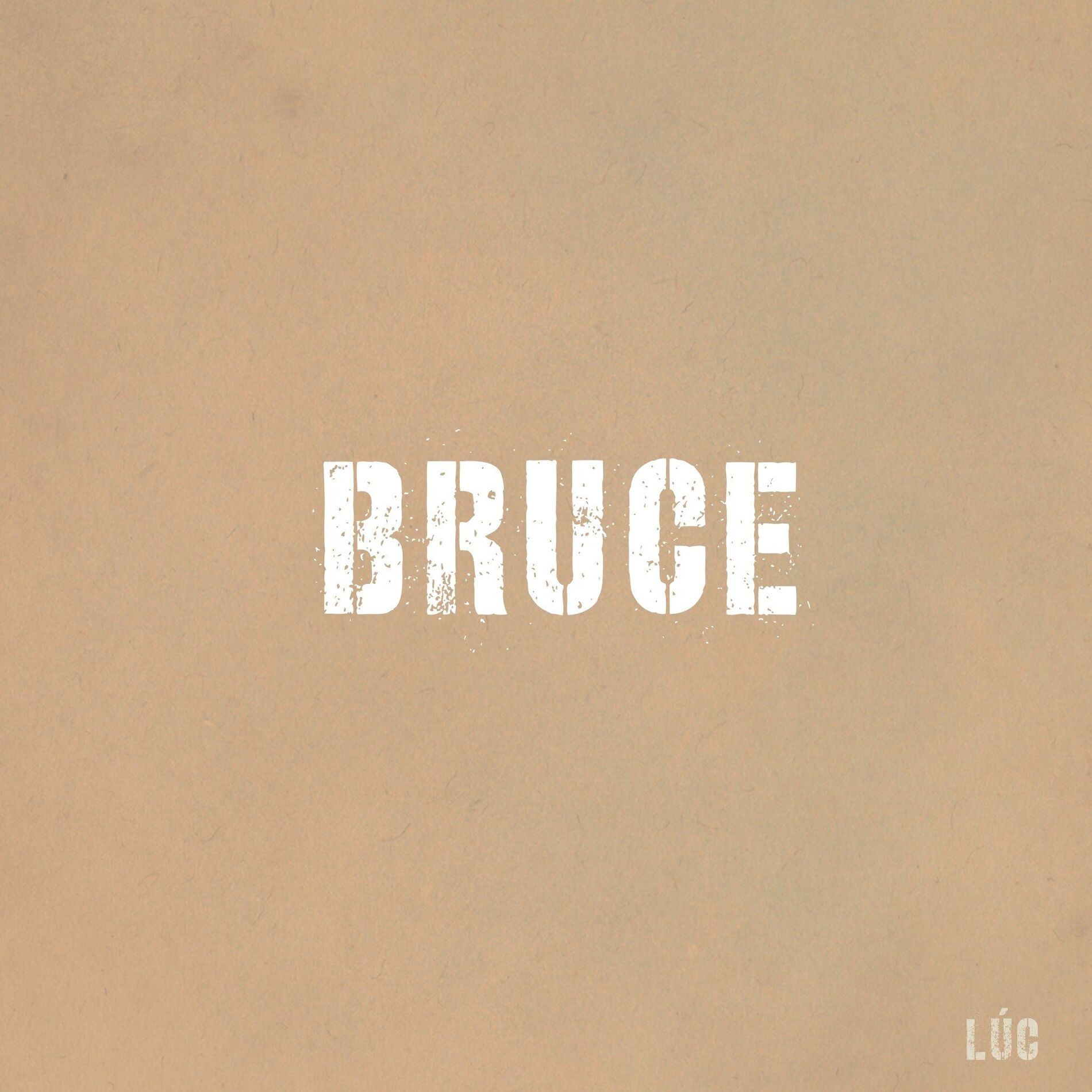 Album cover of BRUCE