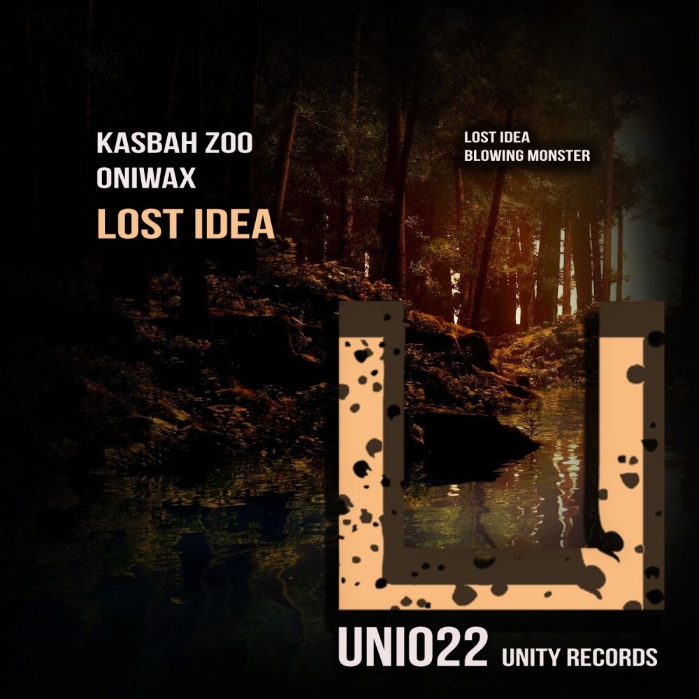 Picture of Lost Idea