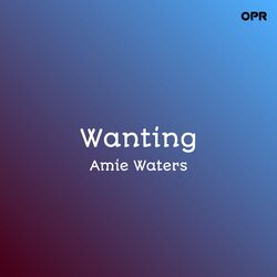 Cover of Wanting