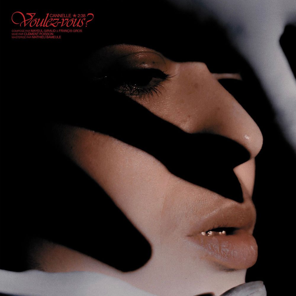 Voulez-vous ? cover