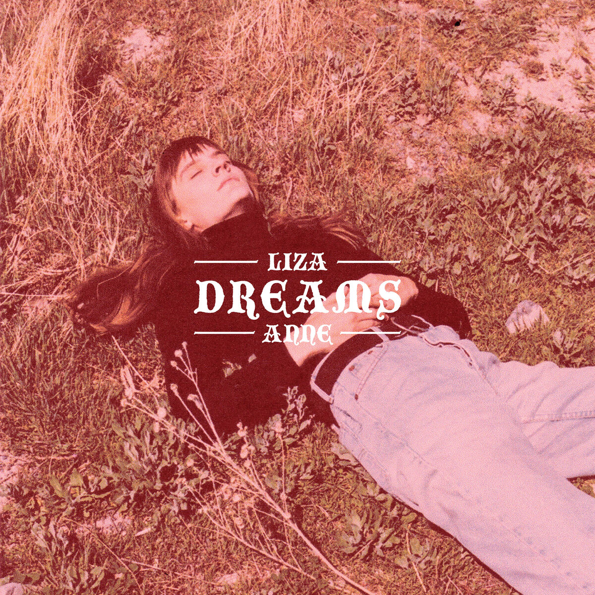 Album cover of Dreams