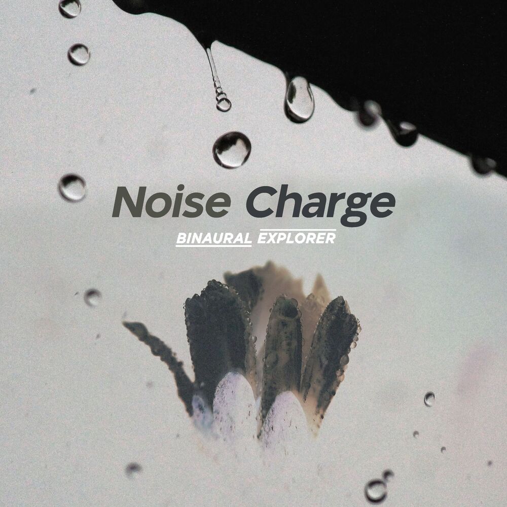 Picture of Noise Charge