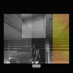 Cover of Go Crazy