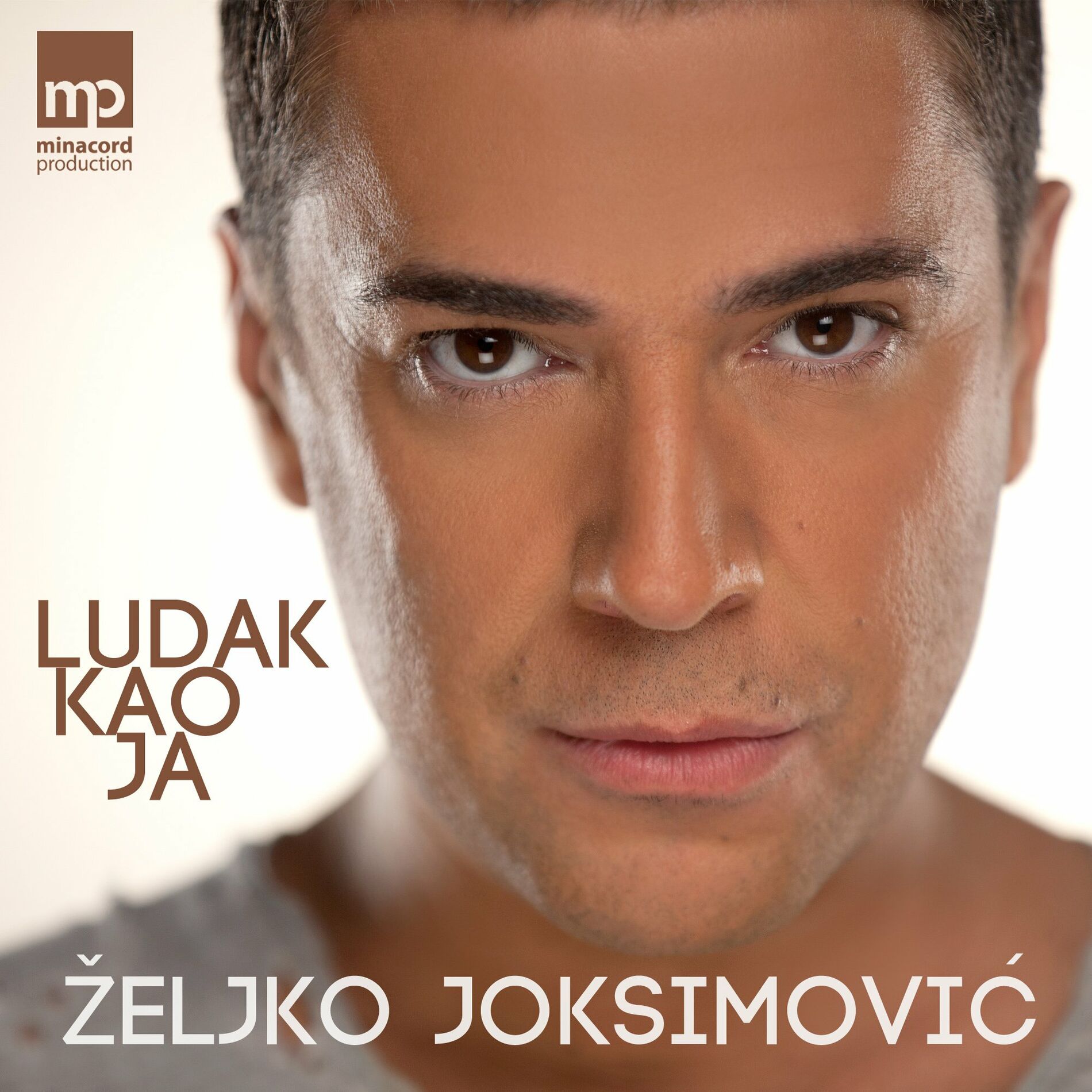 Album cover of Ludak kao ja