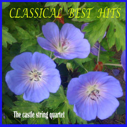 Cover of Classical Best Hits