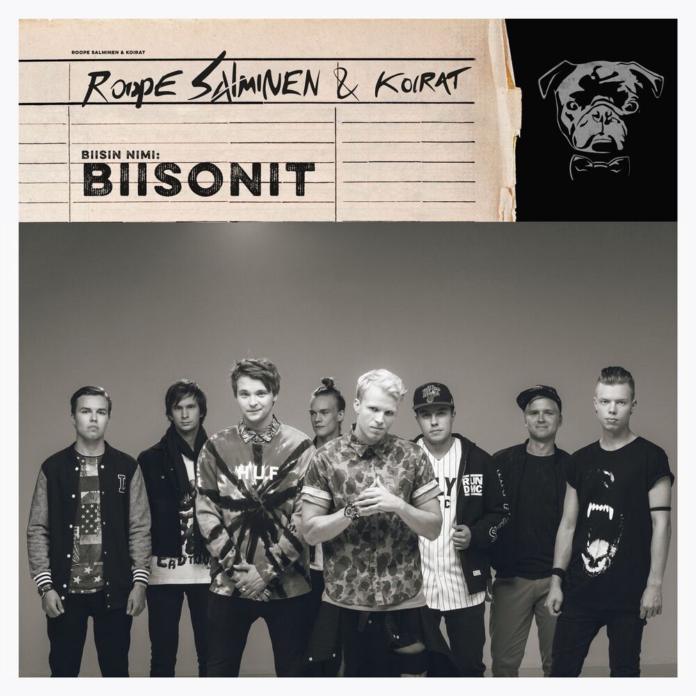 Picture of Biisonit