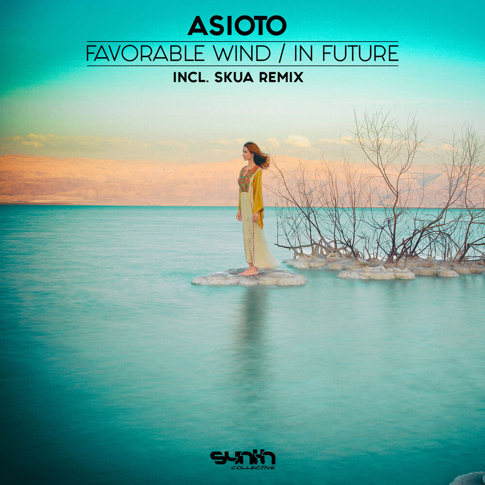 Picture of Favorable Wind / in Future