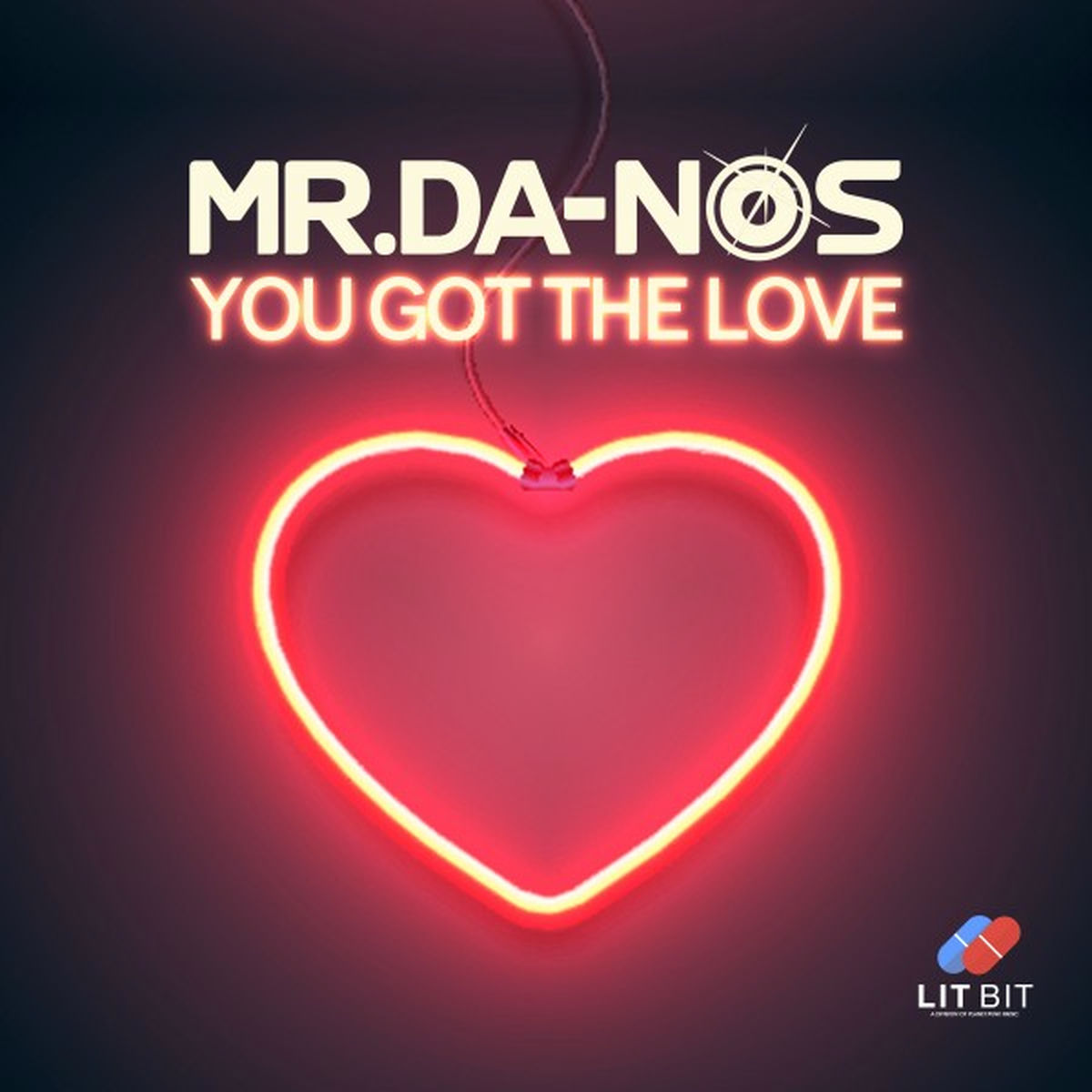 Album cover of You got the Love