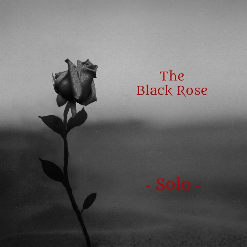 Picture of Solo