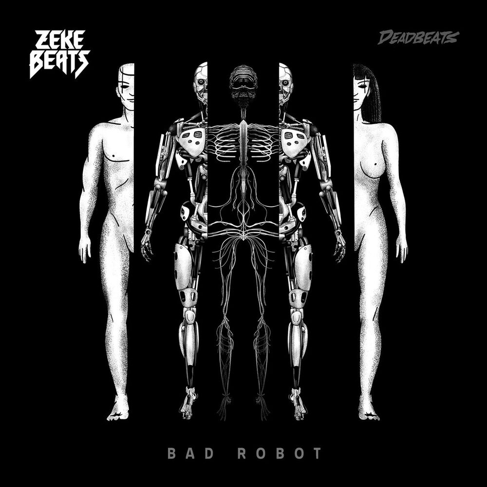 Picture of Bad Robot