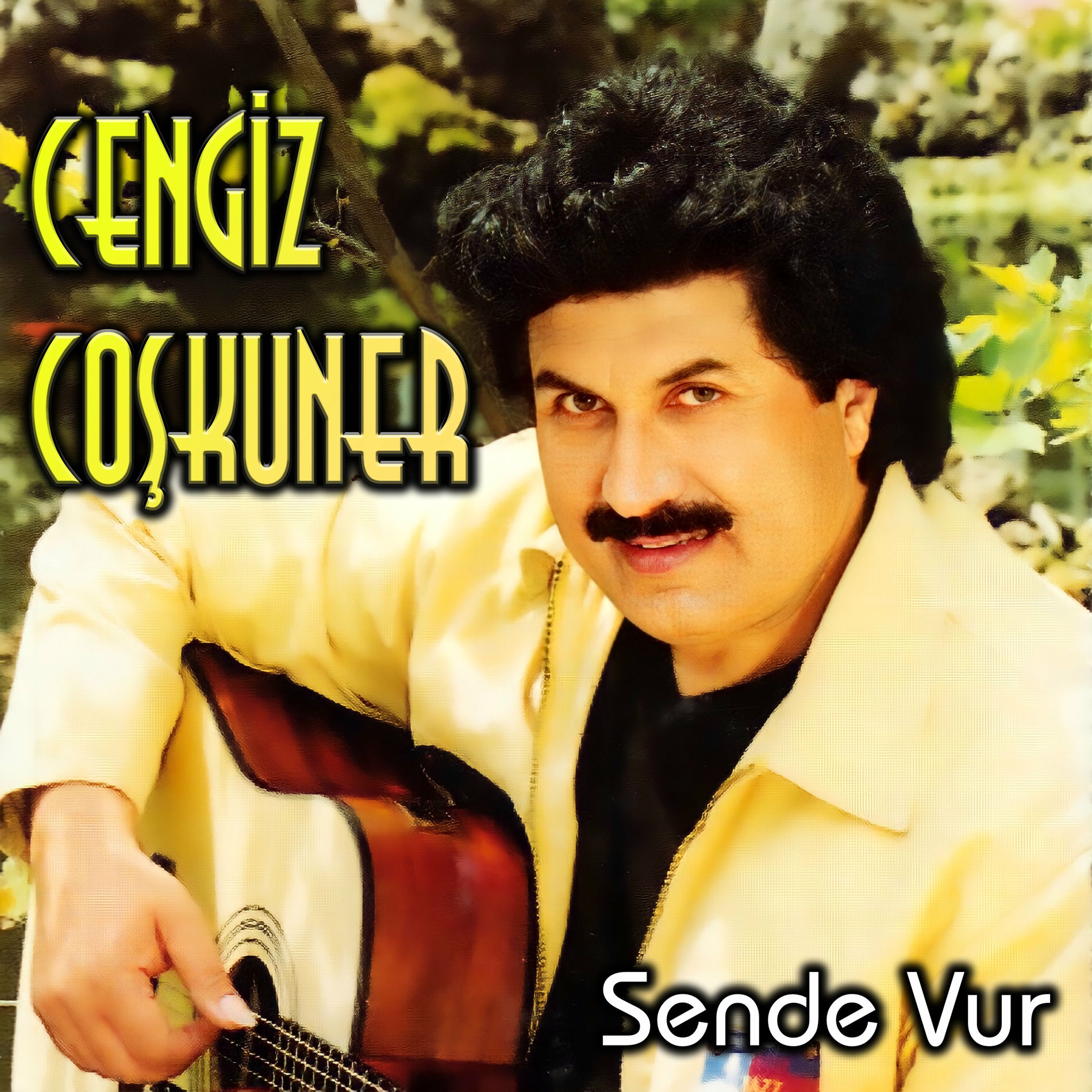 Album cover of Sen de Vur