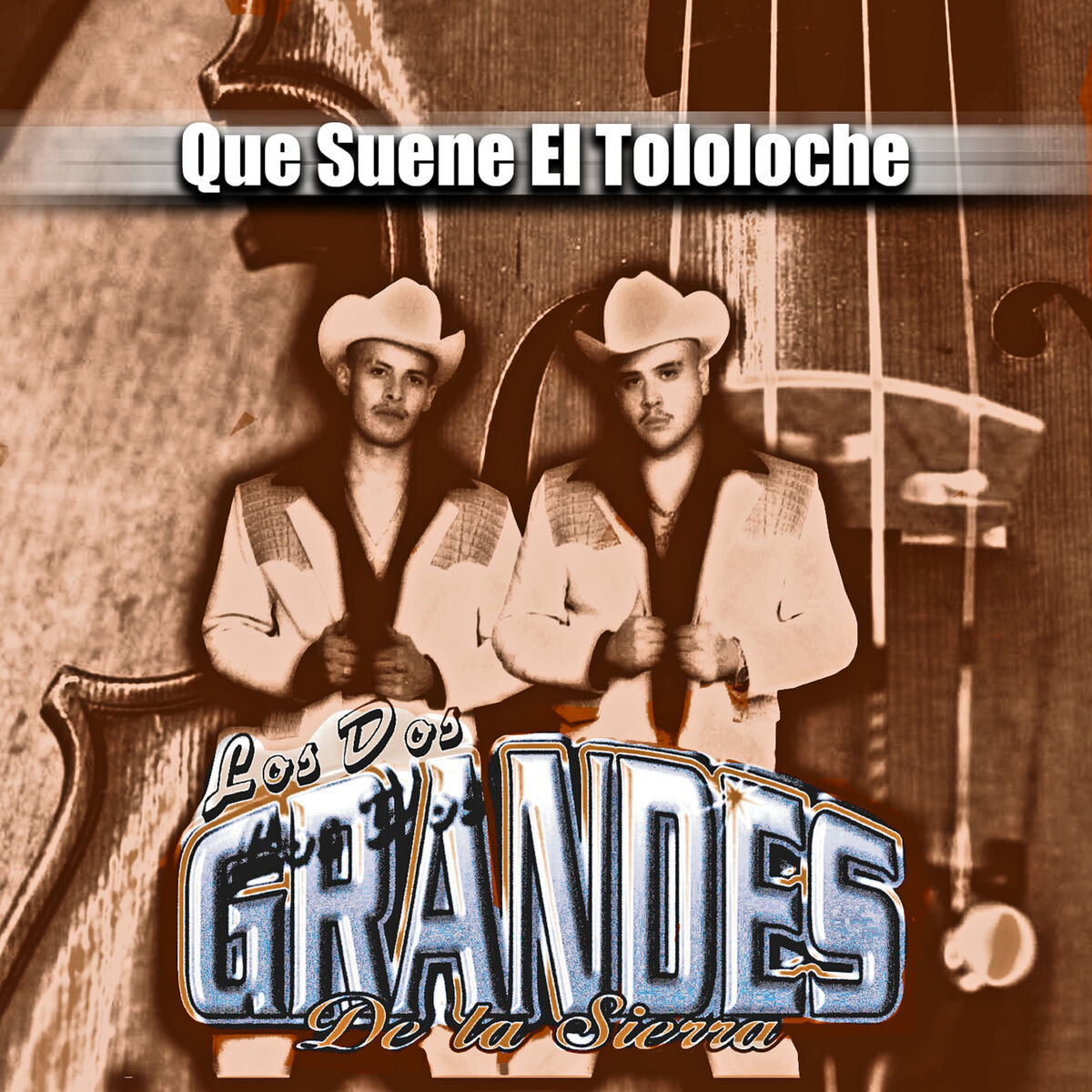Album cover of Que Suene el Tololoche