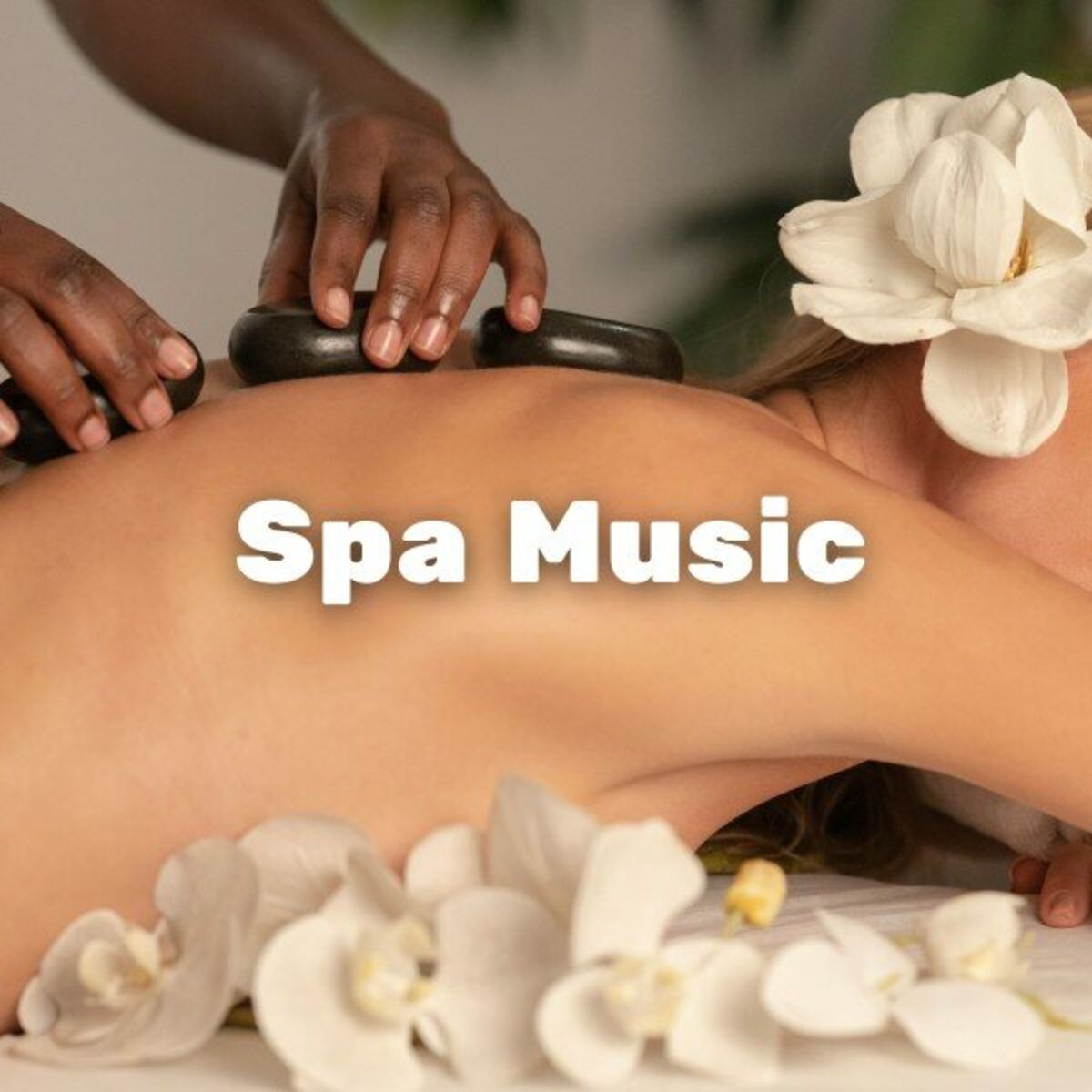 Album cover of Musique de spa : Musique de traitement spa, parfaite pour massage, bien-être, méditation, musique apaisante pour dormir