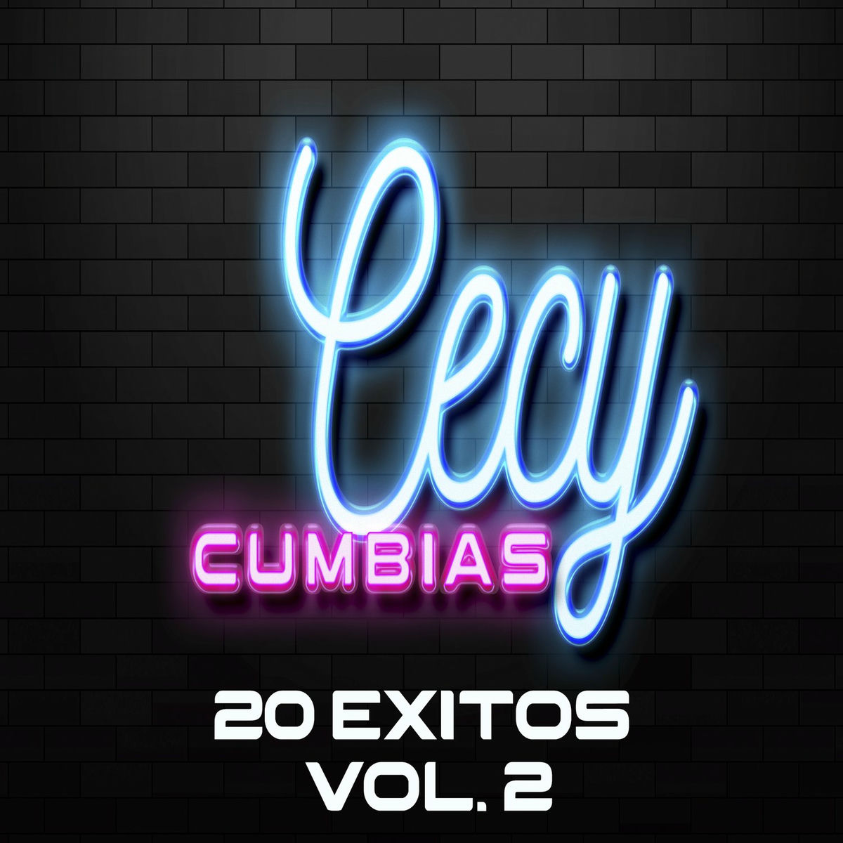 Album cover of Cecy Cumbias 20 Éxitos, vol. 2