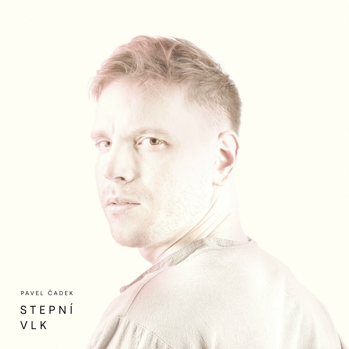 Album cover of Stepní vlk