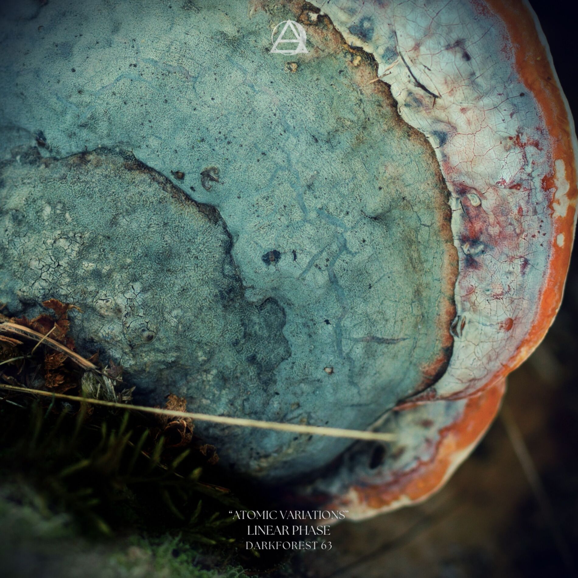 Album cover of Atomic Variations