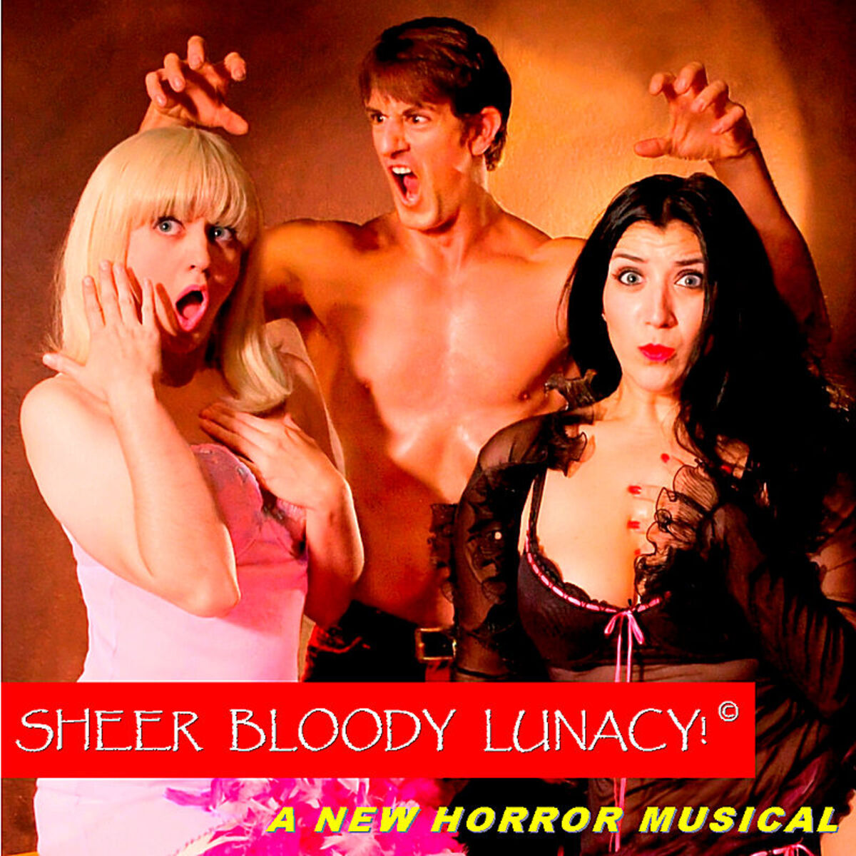 Album cover of Sheer Bloody Lunacy!