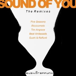 Cover of Sound of You (The Remixes)