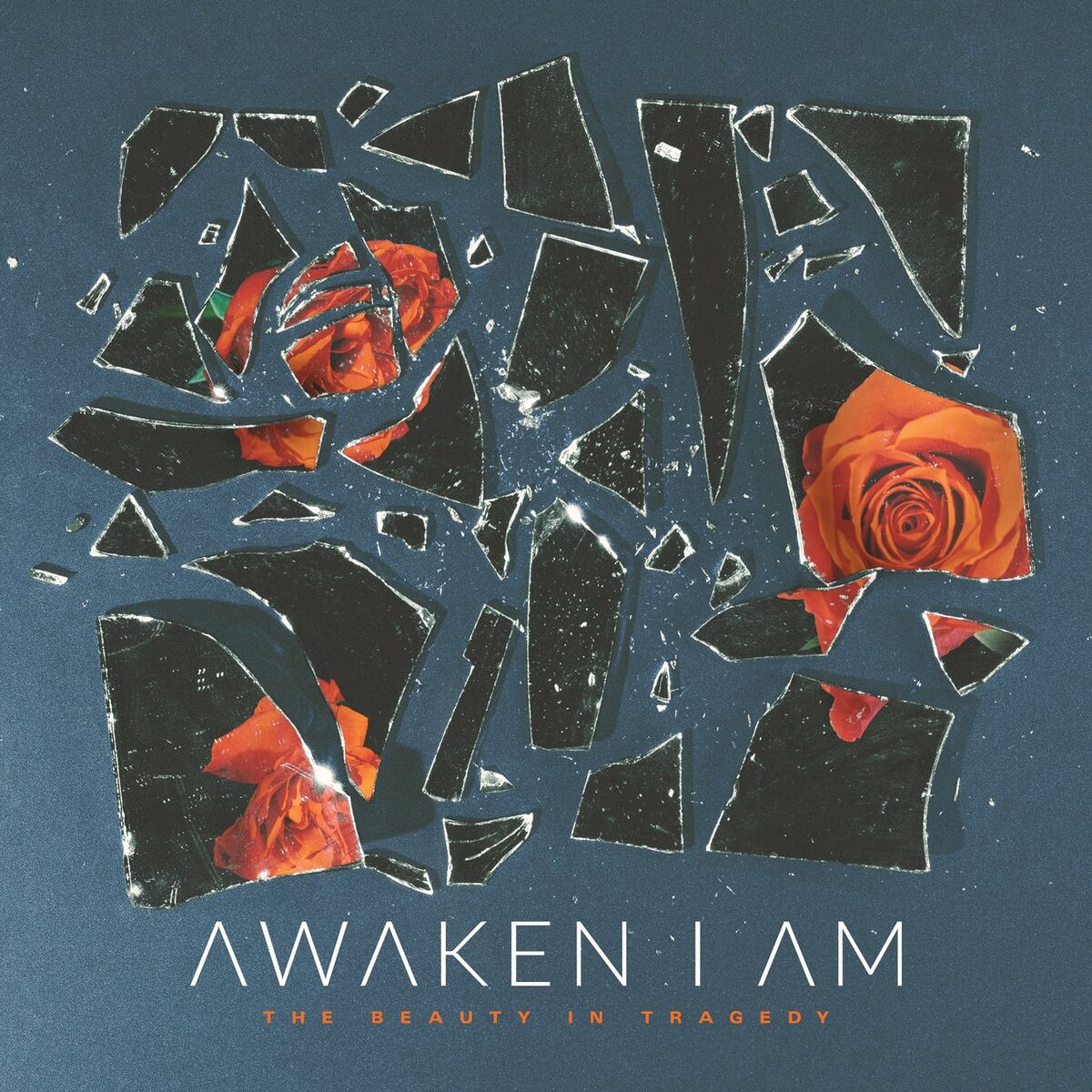 Album cover of Indifference