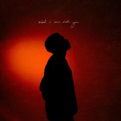 Cover of Wish I Never Met You