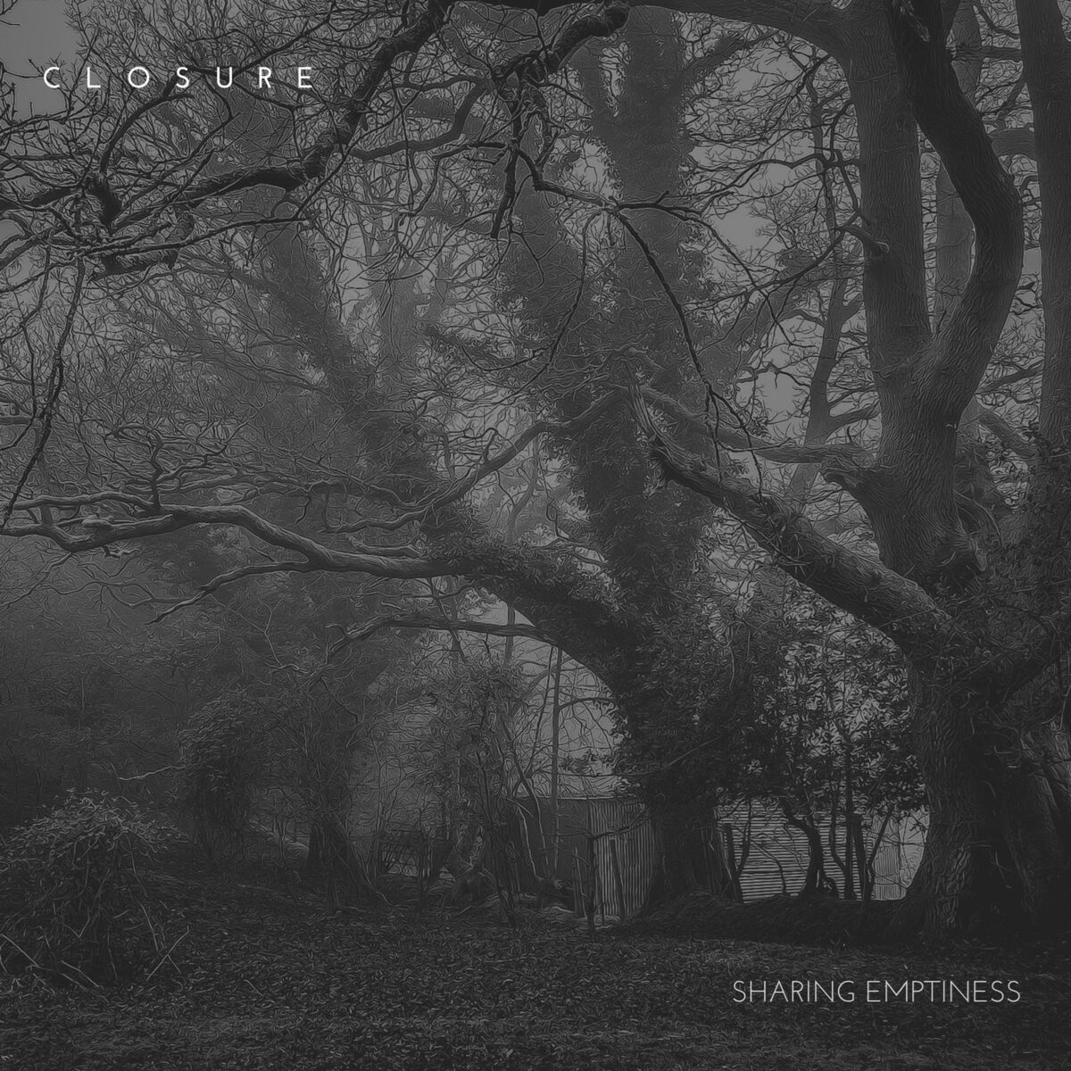 Album cover of Sharing Emptiness