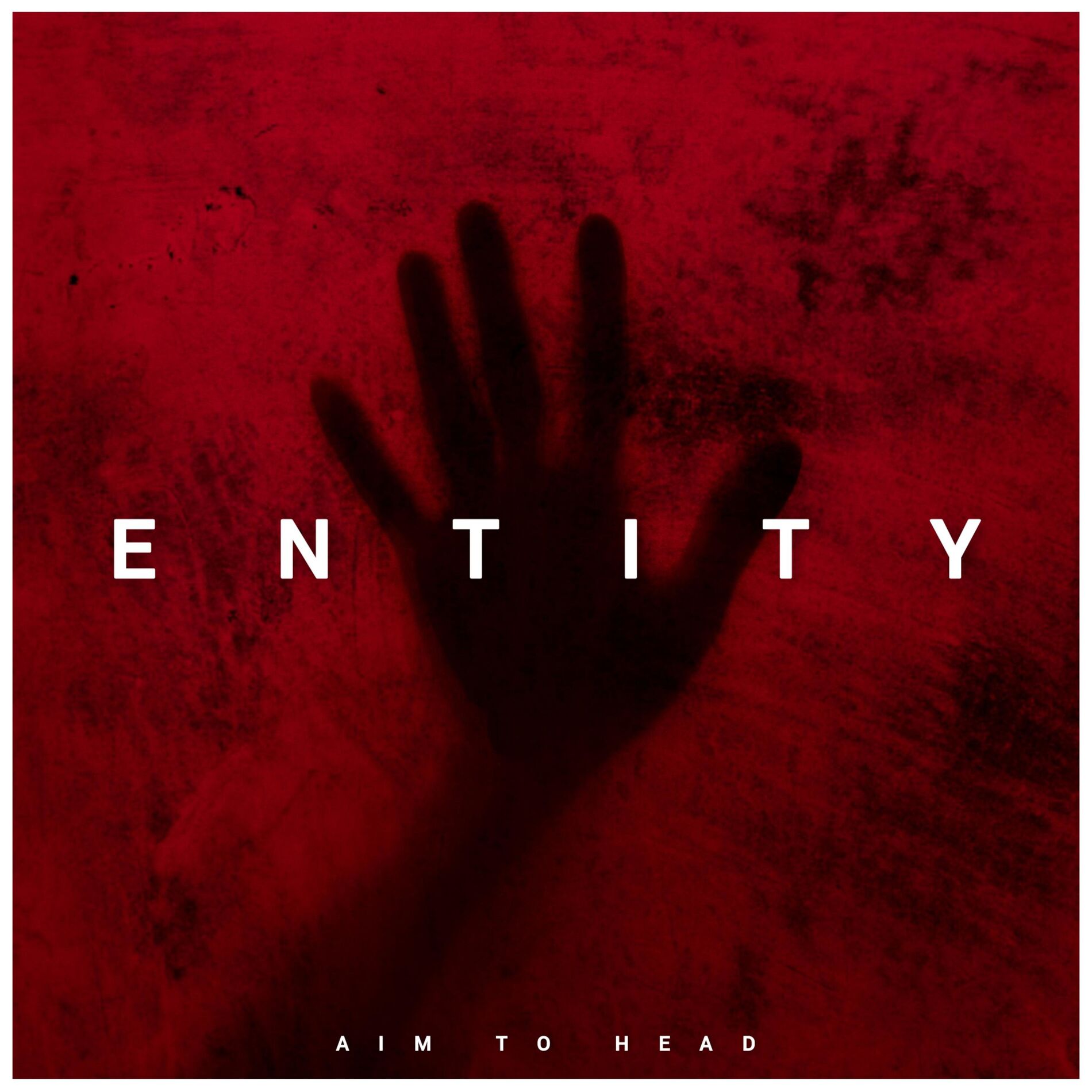 Album cover of Entity